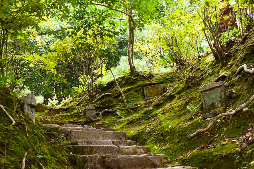 常寂光寺_境内大冒険