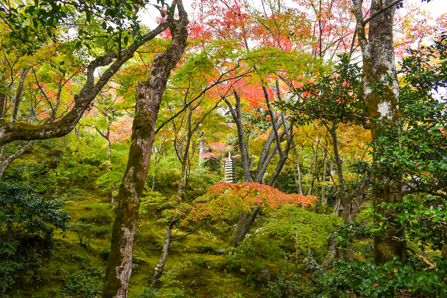 常寂光寺_紅葉と庭園_秋の京都・嵐山
