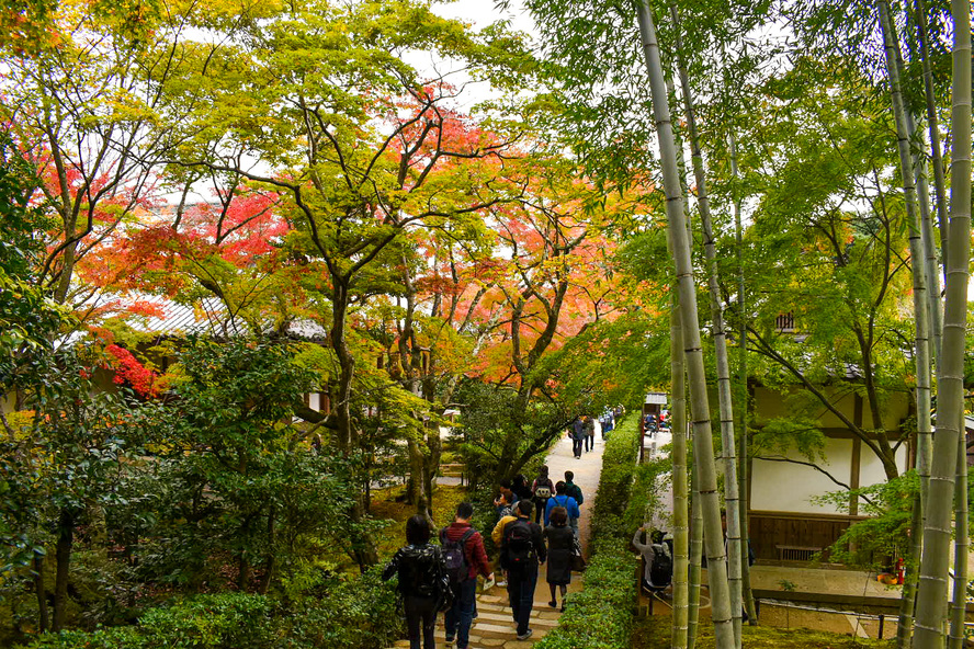 常寂光寺_紅葉に染まる境内