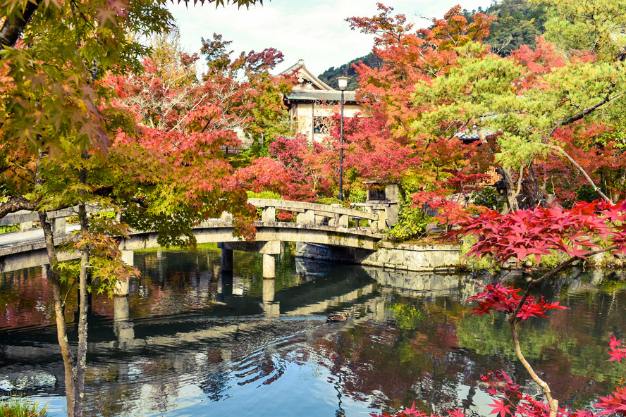 もみじの永観堂の見どころ_秋の紅葉