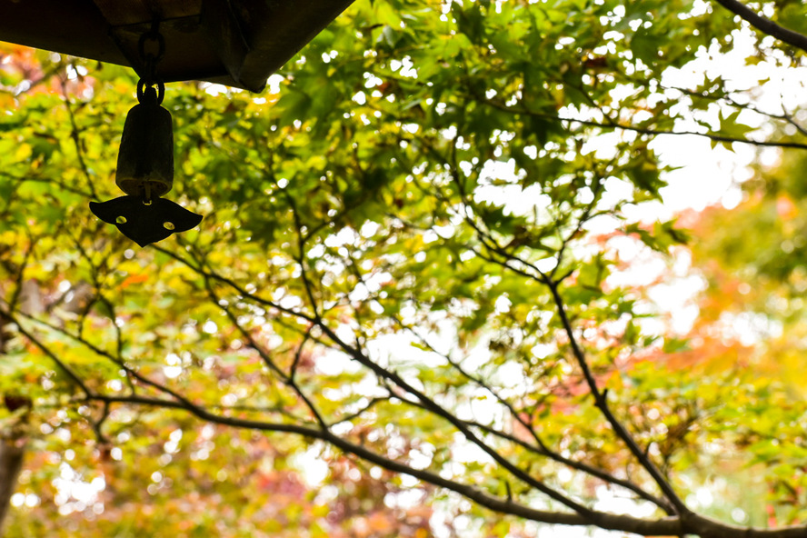 厭離庵と時雨亭_京都・嵐山の紅葉名所