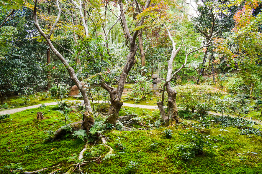 厭離庵の混雑時期_京都・嵐山の紅葉名所