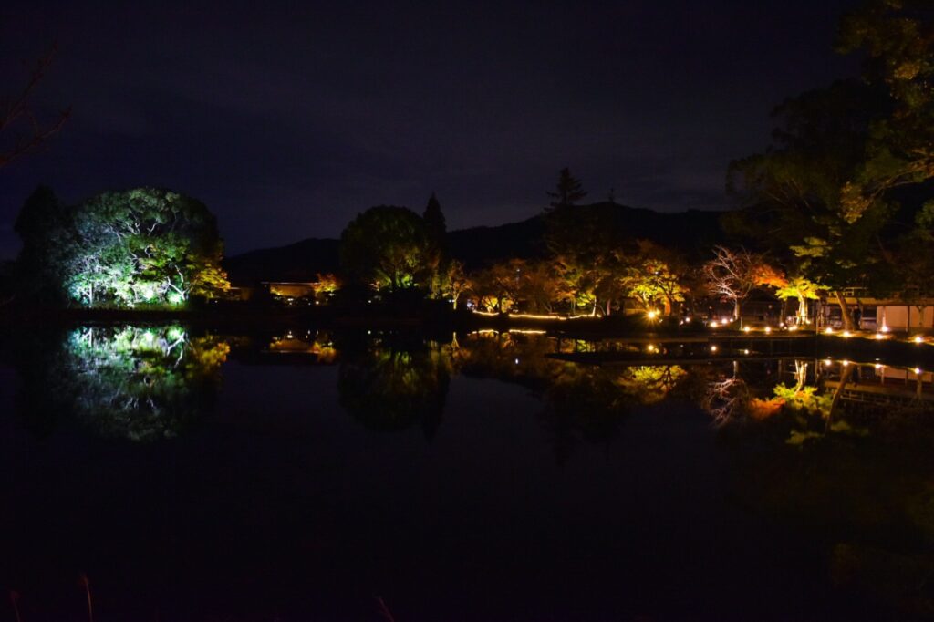 大覚寺_大沢池_秋のライトアップ