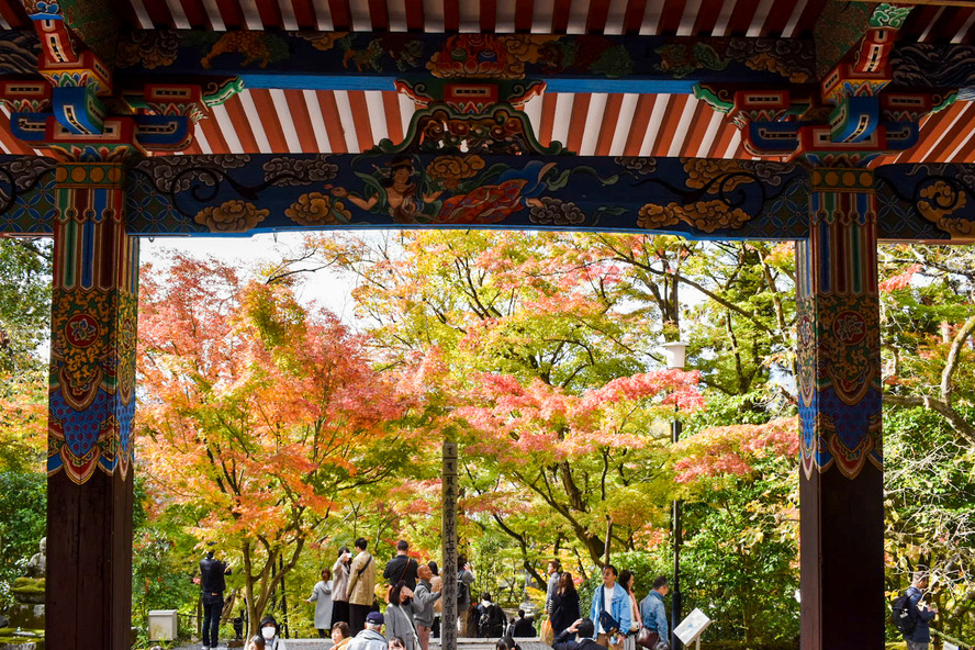 永観堂の見どころ_秋の紅葉_本堂・阿弥陀堂