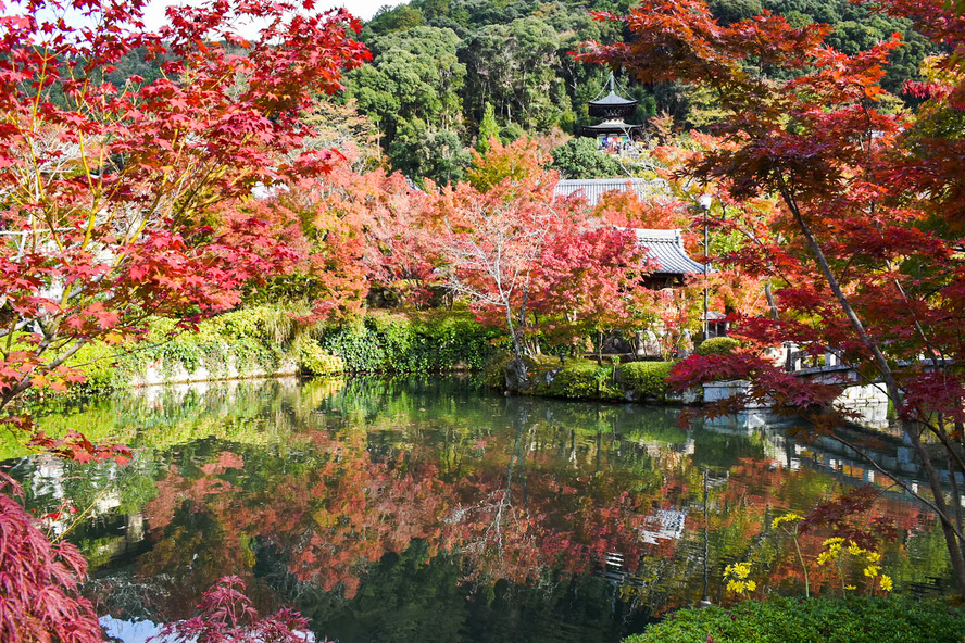 永観堂の見どころ_秋の紅葉と多宝塔
