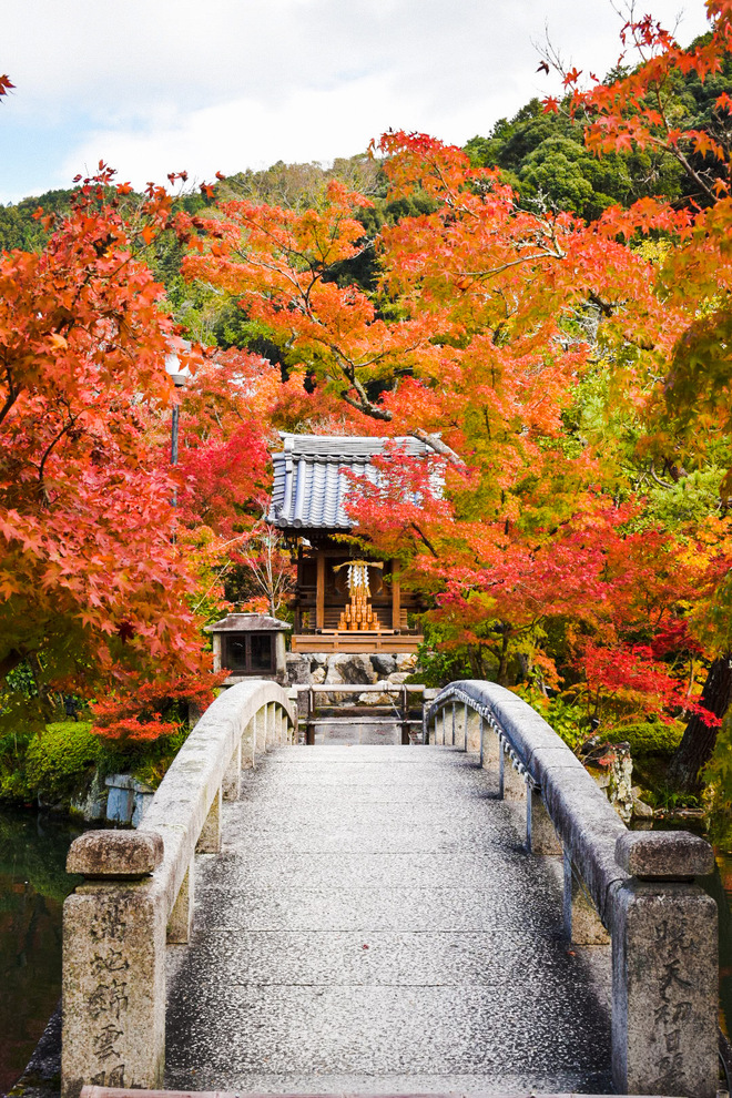 永観堂の見どころ_秋の紅葉と放生池_弁財天