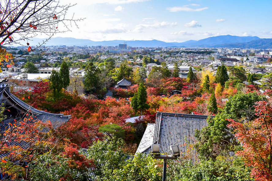 永観堂の見どころ_秋の紅葉と風景