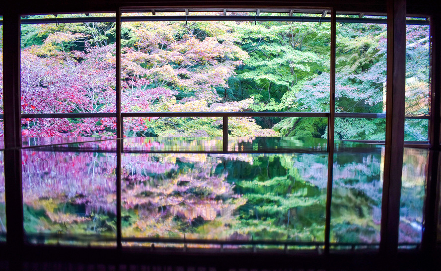 瑠璃光院_京都の秋と紅葉_写経机への映り込み鮮やか