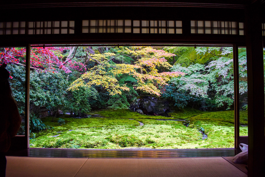 瑠璃光院の見どころ_京都の秋と紅葉_瑠璃の庭