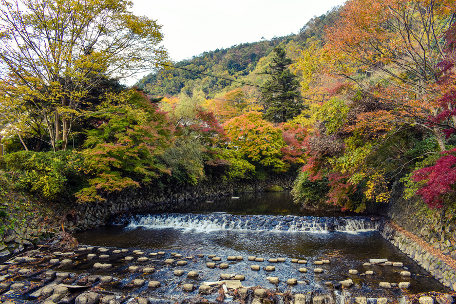 瑠璃光院_観光情報_アクセス_行き方_八瀬の紅葉