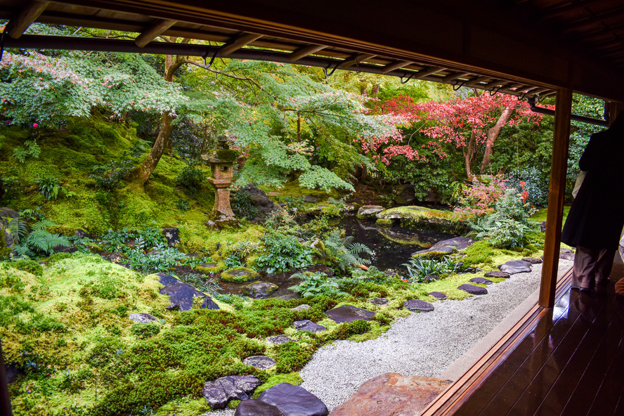 瑠璃光院の見どころ_臥竜の庭と京都の秋と紅葉