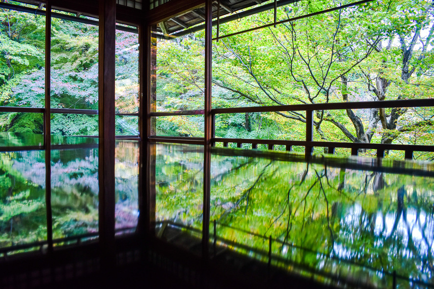 瑠璃光院の観光案内_京都の秋と紅葉_写経机への映り込み緑