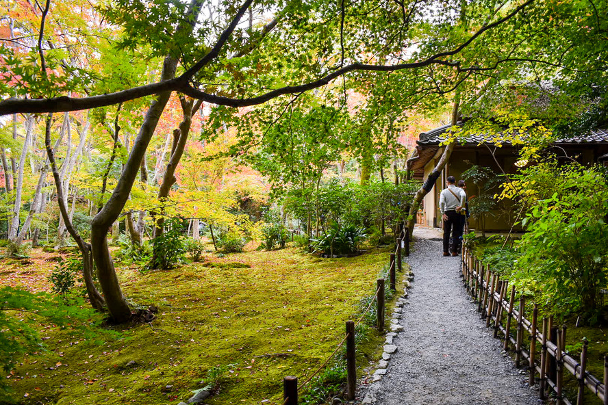 祇王寺の物語_京都・嵐山の紅葉観光