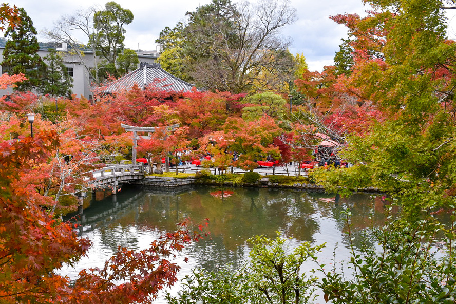 秋のもみじの永観堂_紅葉と放生池