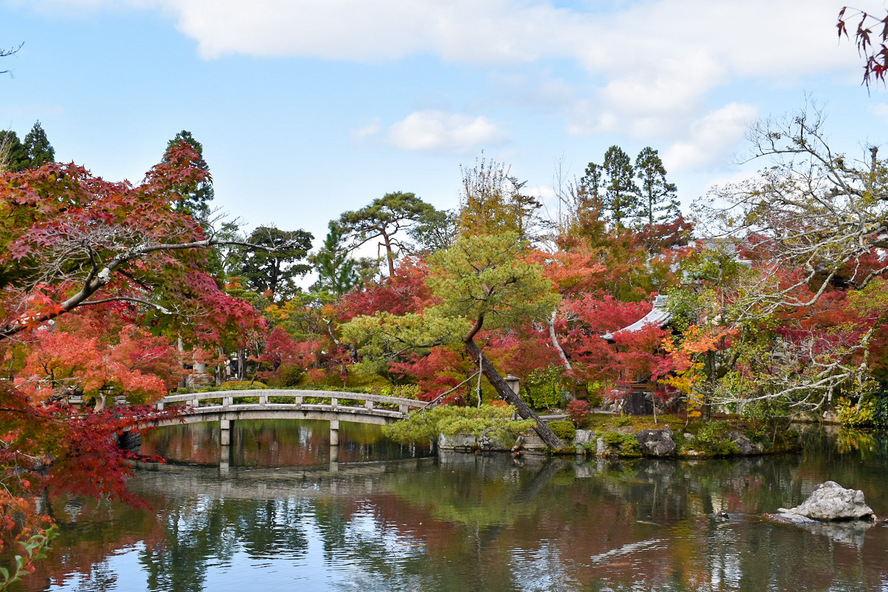 秋のもみじの永観堂_紅葉と放生池と極楽橋