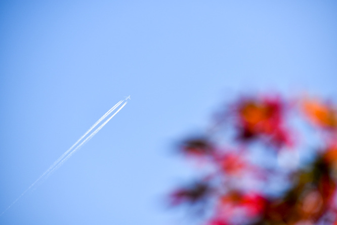 竹田城跡の見どころ_表米神社_紅葉と飛行機雲