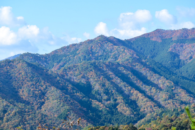 竹田城跡の見どころ_南千畳からの風景_もののけ姫