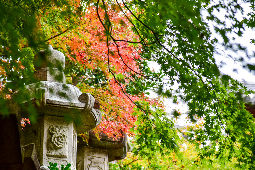 長谷寺・奈良_花の御寺の観光ガイド