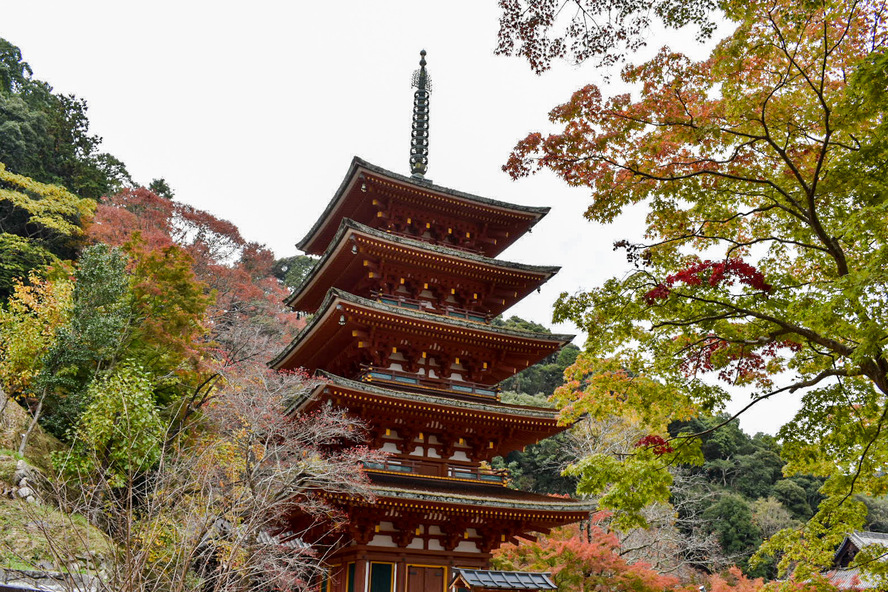 長谷寺・奈良_見どころ_五重塔