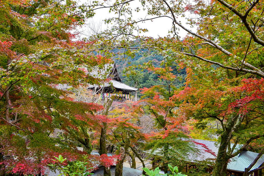 長谷寺・奈良の見どころ_まとめ