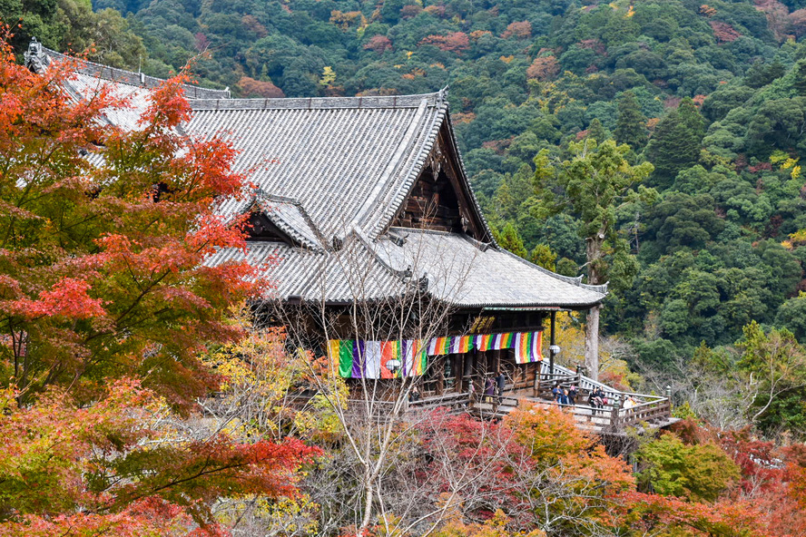 長谷寺・奈良の見どころ_本堂と懸造りと紅葉