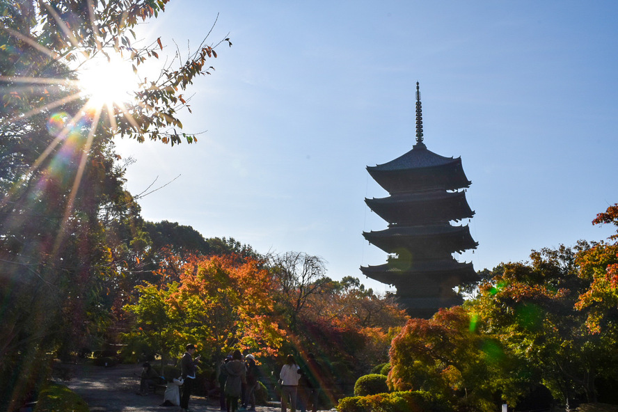 東寺_秋の京都_紅葉観光_歴史