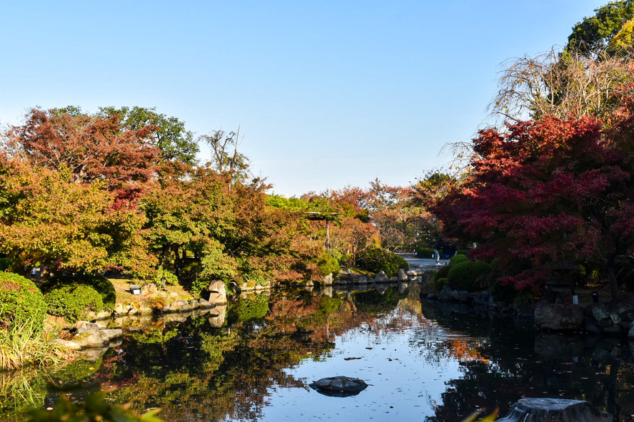 東寺の見どころ_秋の京都_紅葉観光と庭園
