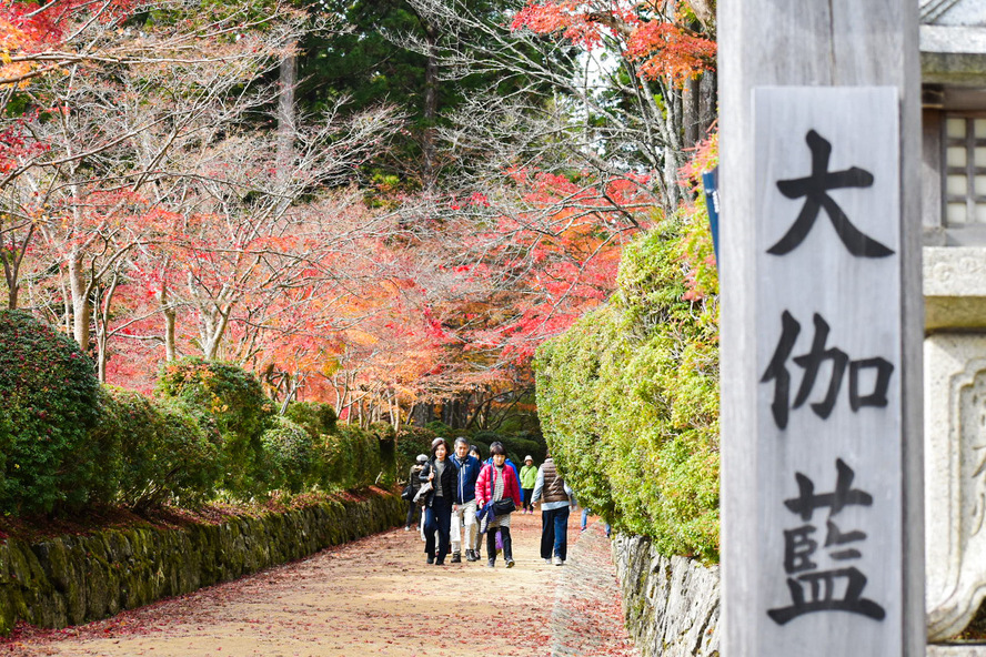 高野山金剛峯寺_見どころ_壇上伽藍