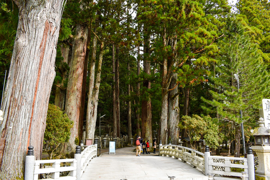 高野山金剛峯寺_見どころ_奥の院_一の橋