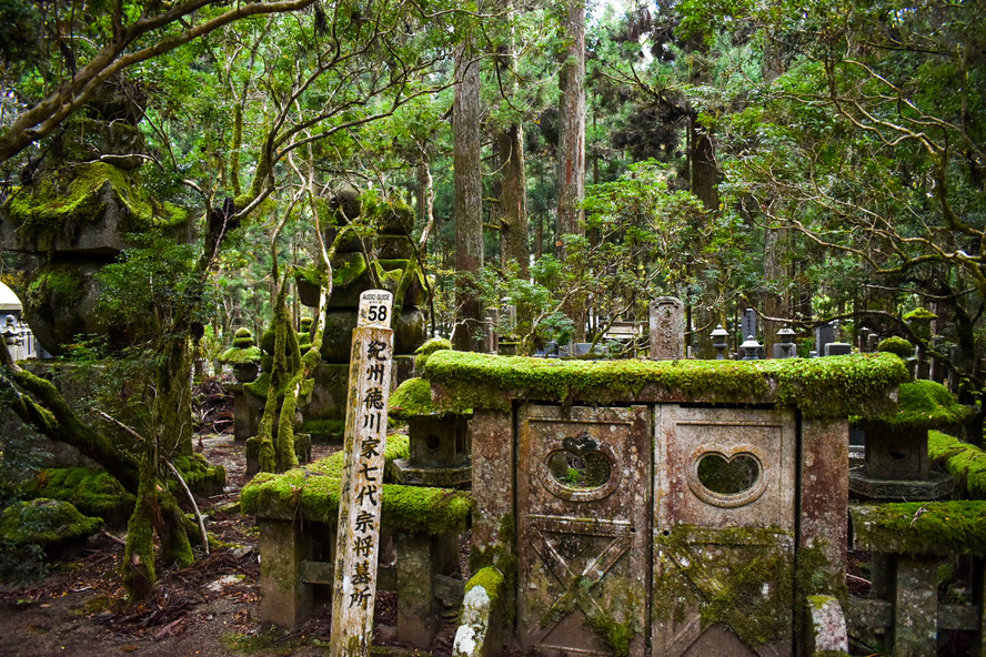 高野山金剛峯寺_見どころ_奥の院_徳川吉宗