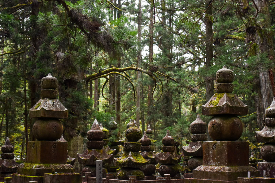 高野山金剛峯寺_見どころ_奥の院の共同墓所