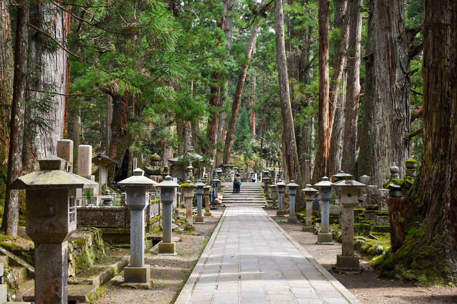 高野山金剛峯寺_見どころ_奥の院参道