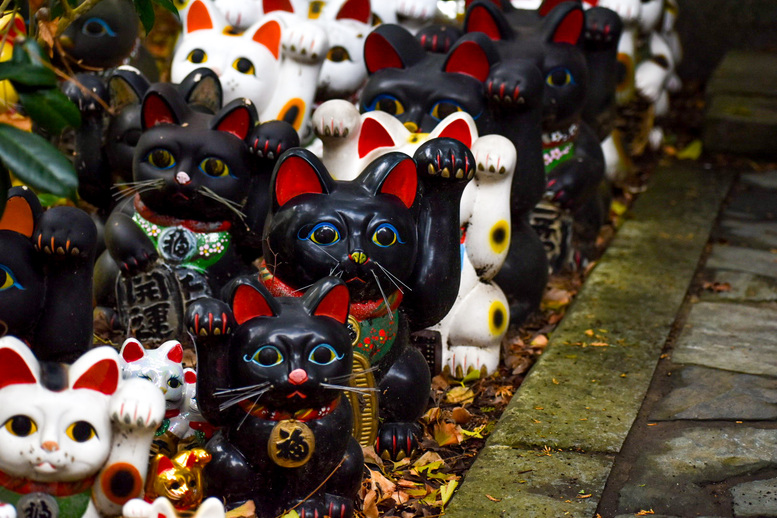 淡嶋神社の祭神_少彦名命のご利益