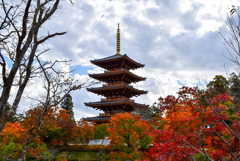 成相寺の観光の見どころ_五重塔と見頃の紅葉