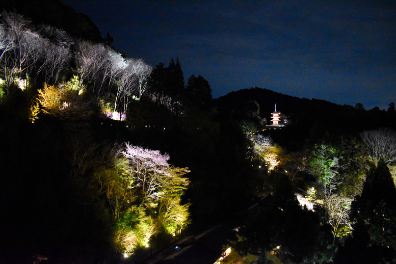 清水寺観光の見どころ_舞台からの景色_ライトアップ_子安堂