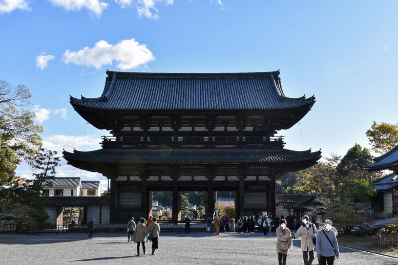 春の京都の桜観光_オススメの名所15選_仁和寺_春の御室花まつり_日程・料金・アクセス