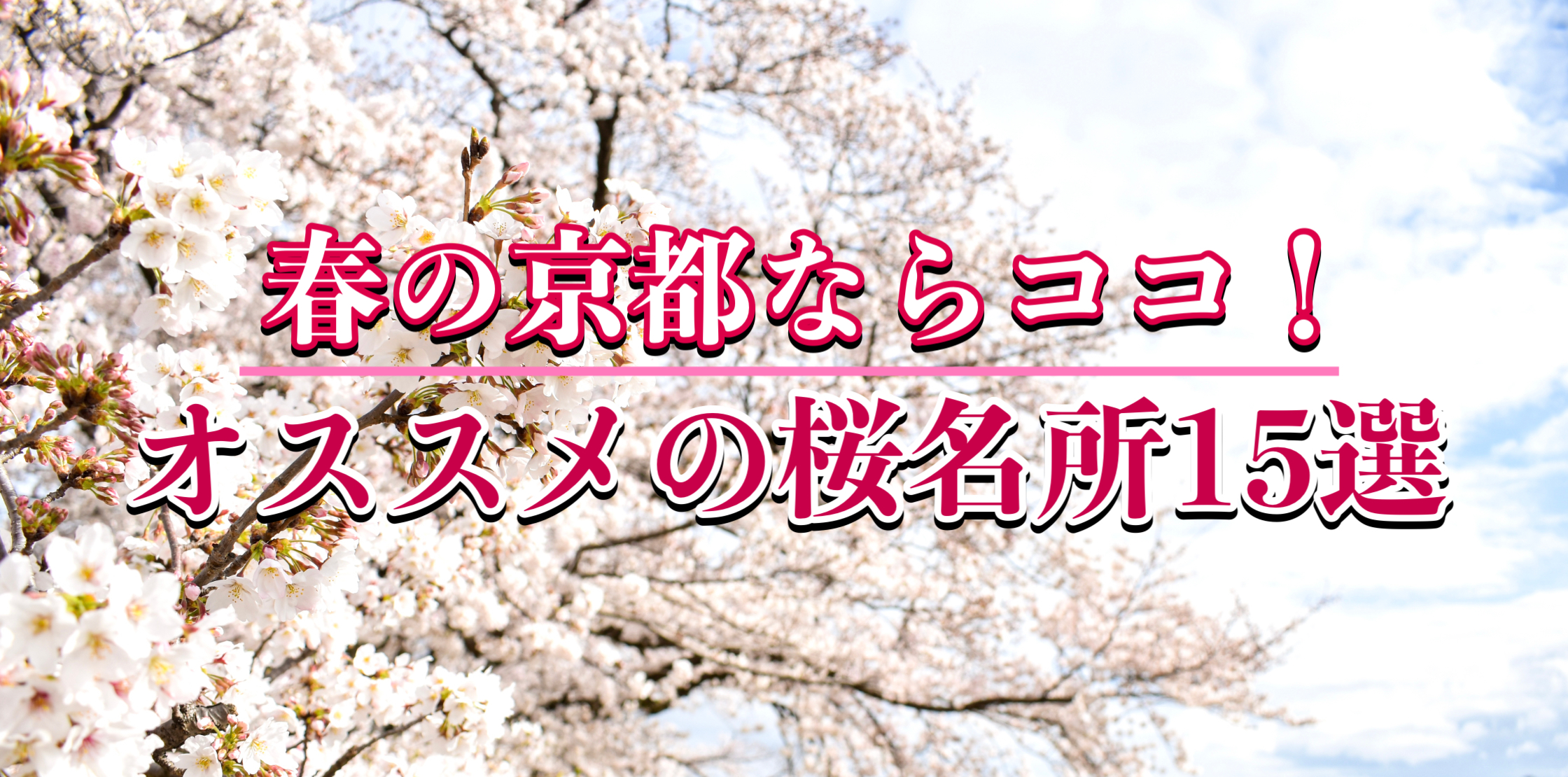 【2022版】春の京都で桜を見たい！オススメの観光名所15選｜ライトアップ・見頃予想・マップも併せて