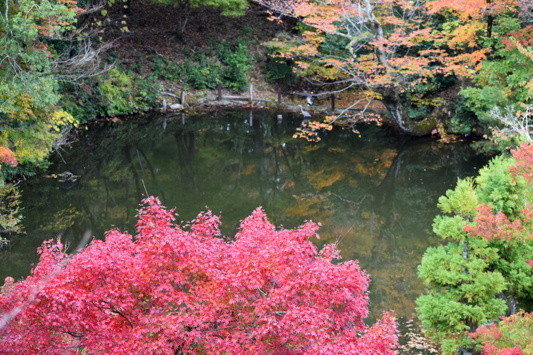 成相寺の観光の見どころ_奇怪な話の底なし沼_大蛇と和尚の伝説