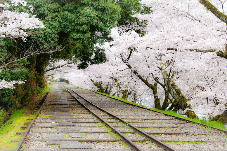春の京都の桜観光_オススメの名所15選_蹴上インクラインのアクセス