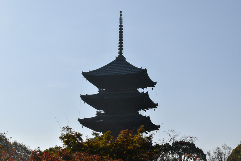 春の京都の桜観光_オススメの名所15選_東寺の五重塔