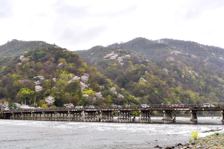 春の京都の桜観光_オススメの名所15選_渡月橋と嵐山_開花と満開の予想日_アクセス