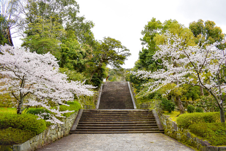 知恩院の基本情報_桜と紅葉の見頃