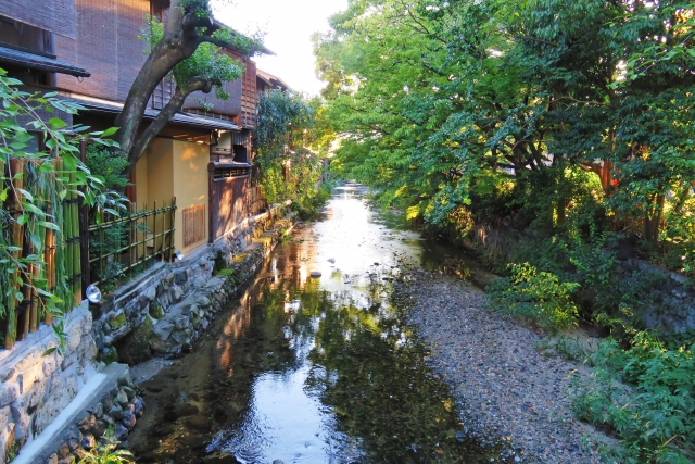 春の京都の桜観光_オススメの名所15選_祇園白川_ライトアップ情報