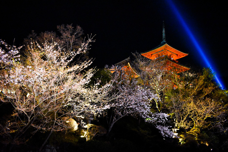 八坂の塔の写真スポット_ライトアップの時間_清水寺の夜間特別拝観