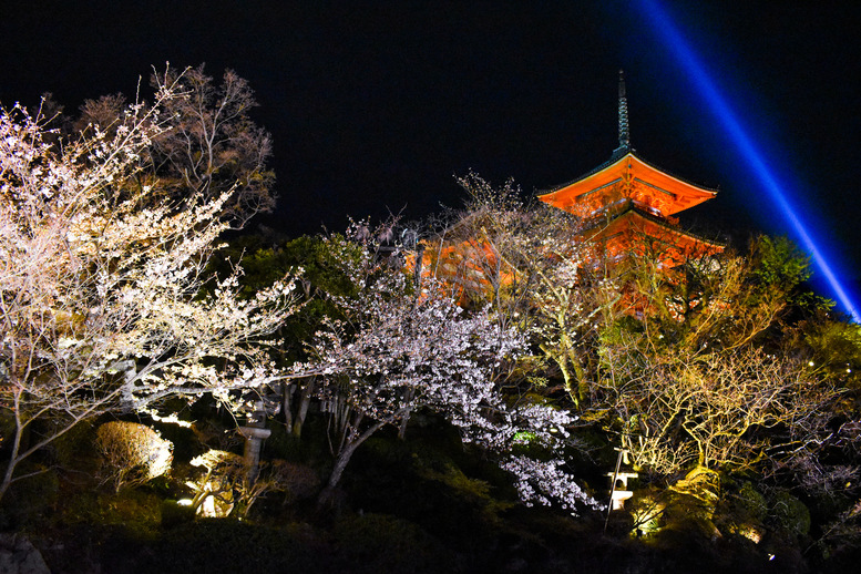 清水寺の見どころ_夜間ライトアップ_開催日時