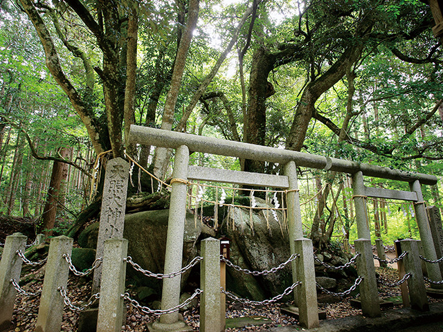 奥宮「眞名井神社」のスピリチュアルスポット_磐座