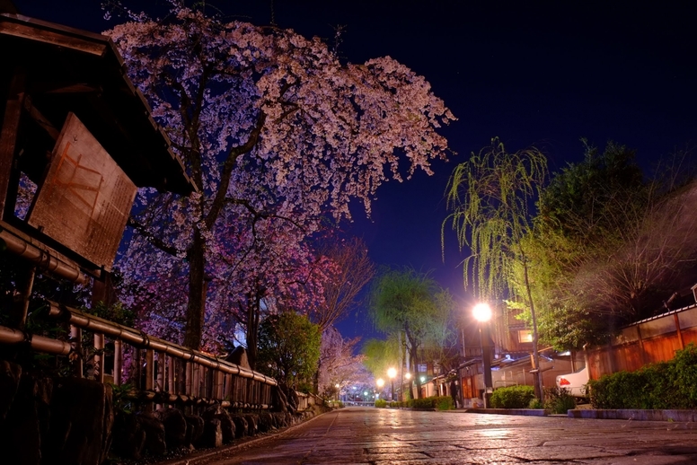 春の京都の桜観光_オススメの名所15選_祇園白川のライトアップ