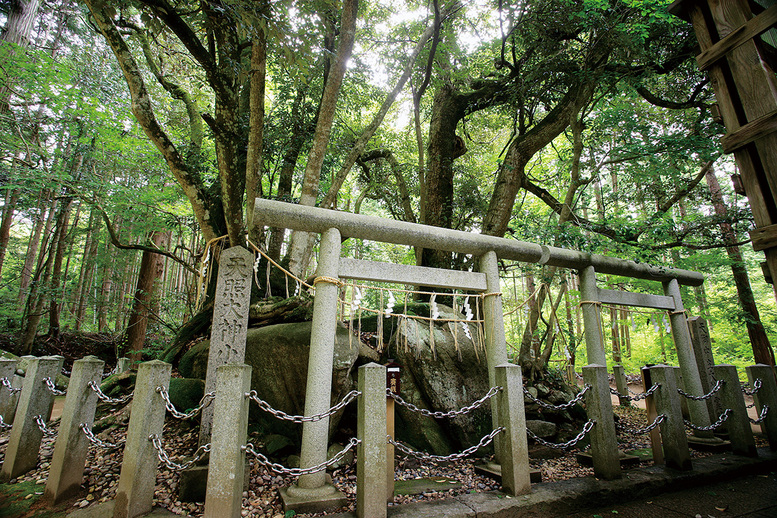 天橋立観光の見どころ_眞名井神社_日本最古のパワースポット