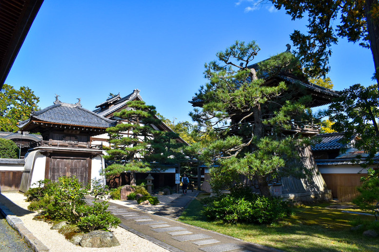 智恩寺の観光情報_歴史