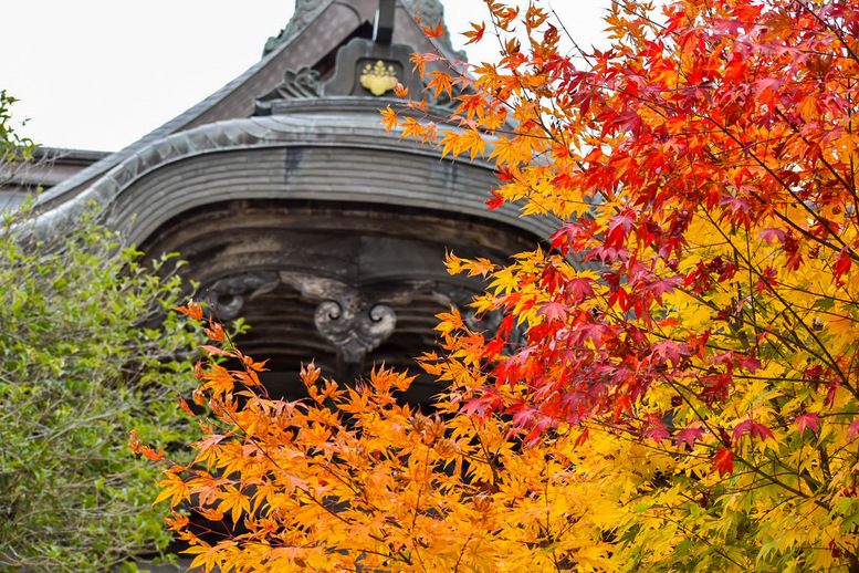 天橋立観光の見どころ_成相寺_身代わり観音と美人観音と紅葉の名所